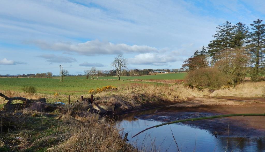 Balintore  Scotland Paradise Relax Accommodation By Shooting Club Kirriemuir מראה חיצוני תמונה