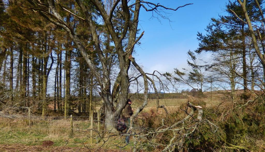 Balintore  Scotland Paradise Relax Accommodation By Shooting Club Kirriemuir מראה חיצוני תמונה